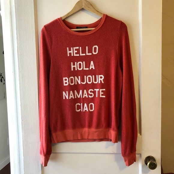 Wildfox Sweaters - 𝅺Wildfox Sweater